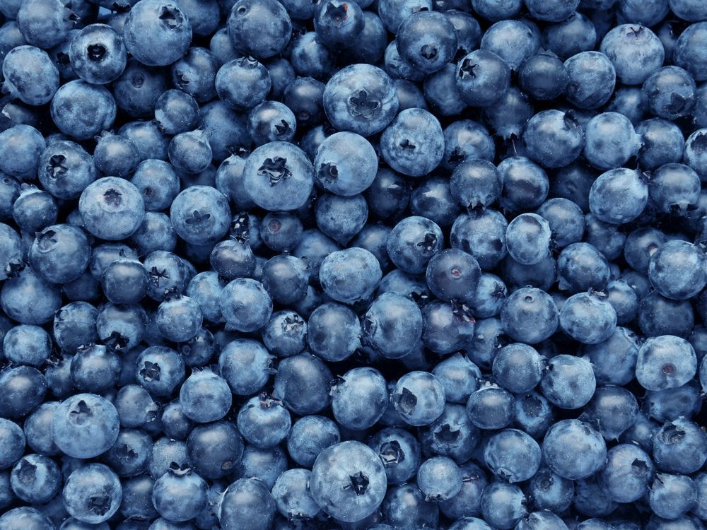 Court reduces sale price of Langley blueberry farm after crop poisoned