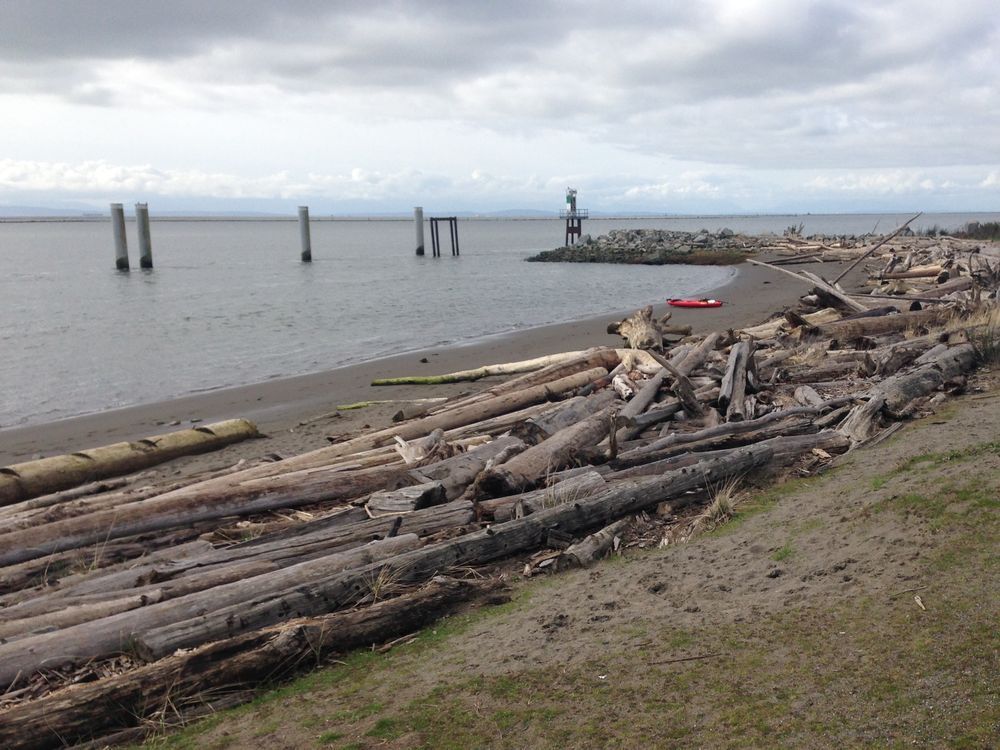 Twenty-five-metre yacht strikes rocks near mouth of Fraser River